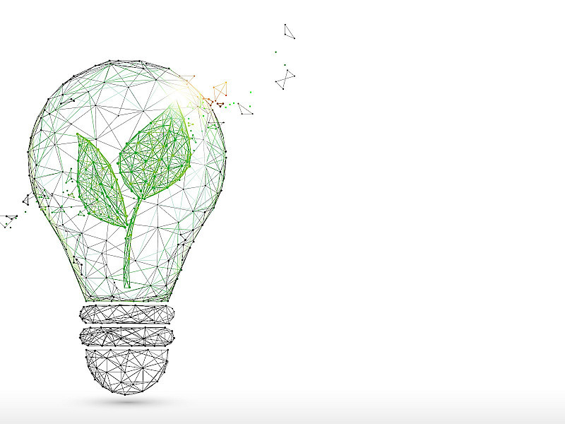 Managing Sustainable Innovations